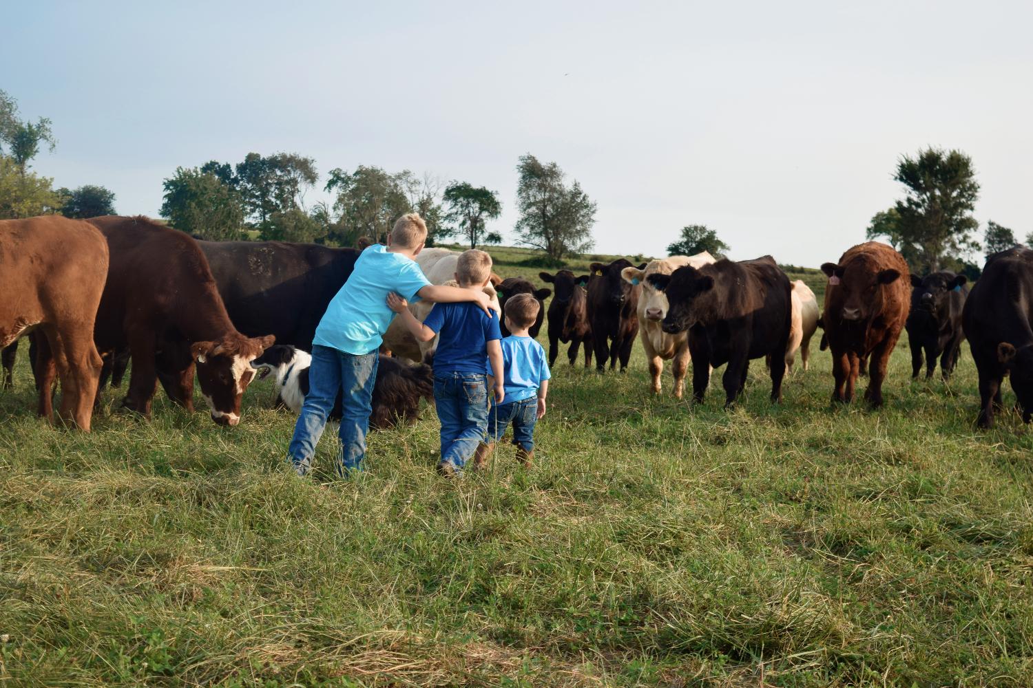 Local Farmers 2